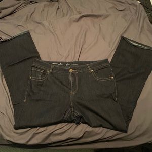 Lane Bryant bootcut jeans